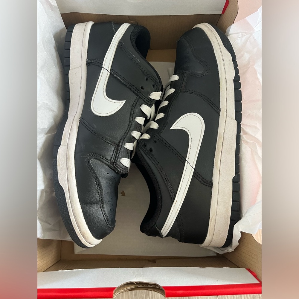 Nike Dunk Lows (GS) Black and White Shoes